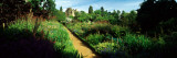 Garden of a Castle, Crathes Castle, Aberdeenshire, Scotland