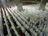 Indonesian Muslims Pray at Istiqlal Mosque in Jakarta for the Victims of Deadly Tsunami in Aceh