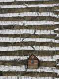 Buy Snow Covered Vineyard is Seen in Stuttgart, Germany at AllPosters.com
