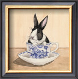 Teacup Bunny III