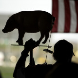 Man Holds a Pig, Representing Goverment Spending, as He Attends a Tea Party Tax Rally