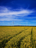 Windfarm Beyond Wheat Field, Bridgetown, County Wexford, Ireland