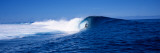 Surfer in the Sea, Tahiti, French Polynesia