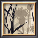 Buy Botanical Elements III at AllPosters.com
