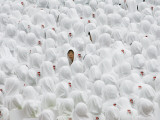 Students Participate in the 500 Days Countdown Ceremony for the 2008 Beijing Olympics in Hong Kong