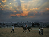 Arab Children Walk with Horse at Muslim Holiday of Eid Al-Fitr, Playground Overlooking Jerusalem