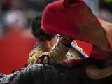 Bullfighte Performs During a Bullfight at the Monumental Bullring in Barcelona