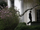 President Barack Obama Walks Down the Colonnade to the Oval Office of the White House