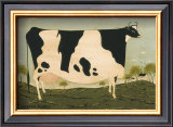 American Cow