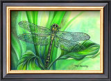 Buy Dragonfly II at AllPosters.com