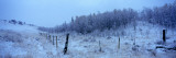 Fence in Snow Covered Landscape, Blackfeet Indian Reservation, Montana, USA