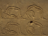 Buy Petroglyphs on a Wall, Luxor, Karnak, Egypt at AllPosters.com