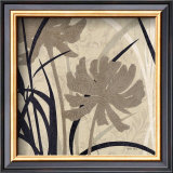Buy Botanical Elements II at AllPosters.com