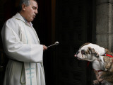 Blessing a Dog During the Feast of San Anton, the Patron Saint of Animals, in Madrid