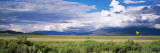 No Passing Sign at the Roadside, Taos County, New Mexico, USA