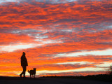 Man Walks His Dog under a Red Sky in the Afternoon Hours in Frankfurt, Central Germany