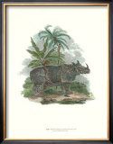 Buy Rhinoceros at AllPosters.com
