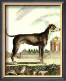 Buy Great Dane at AllPosters.com