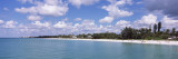 Buy Trees on the Beach, Gulf of Mexico, Naples, Collier County, Florida, USA at AllPosters.com