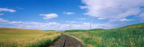 Railroad Track Passing Through a Field, Whitman County, Washington State, USA Photographic Print