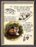 Buy Fox Study at AllPosters.com