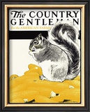 Buy Squirrel with Corn, c.1922 at AllPosters.com