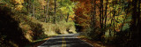 Road Passing Through a Forest, Cove Creek, North Carolina, USA