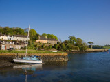 Strangford Harbour, Co Down, Ireland