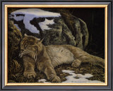Buy Time to Rest Lynx at AllPosters.com