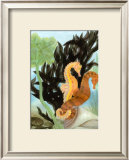 Seahorse Serenade I