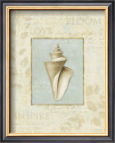 Buy Soothing Words Shells III at AllPosters.com