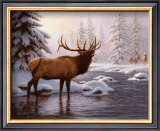 Buy Elk II at AllPosters.com