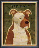 Pit Bull