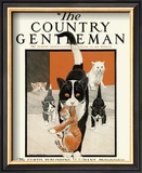 Buy Kittens with Mother, c.1916 at AllPosters.com