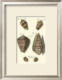 Buy Neptune's Treasure III at AllPosters.com