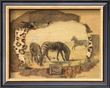 African Odyssey, Zebras