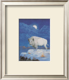 White Bison