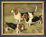 Buy Basset Hounds at AllPosters.com