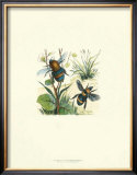 Flight of the Bee II