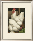 Buy Roosters I at AllPosters.com