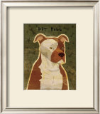 Pit Bull