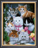 Kitties I