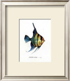 Buy Fish Tail I at AllPosters.com