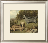 Buy Terriers at AllPosters.com