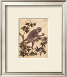 Buy Monkey in a Tree I at AllPosters.com