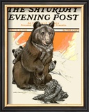 Porcupine Scares the Bears