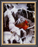 Buy Winter Refuge at AllPosters.com
