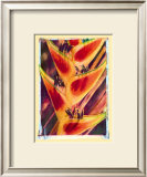 Buy Heliconia at AllPosters.com