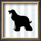 Buy Afghan Hound in Neutral at AllPosters.com