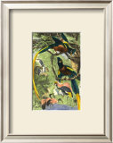 Buy Tropical Birds II at AllPosters.com